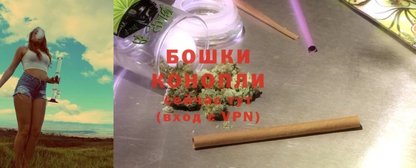 стафф Ладушкин