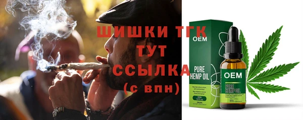 молекула духа Лабытнанги