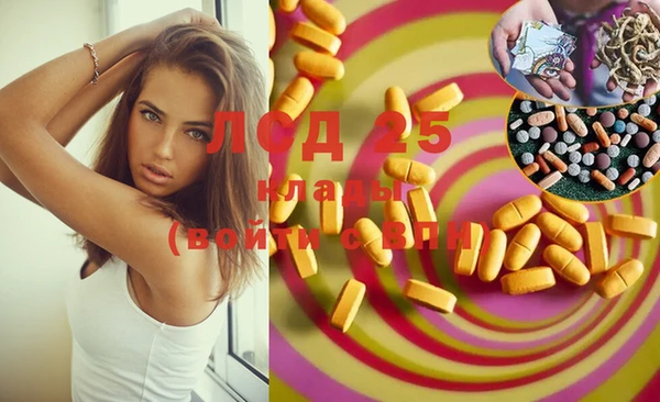 стафф Ладушкин