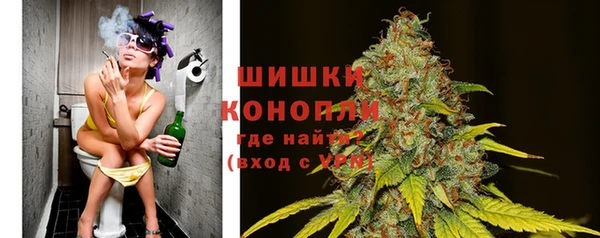 молекула духа Лабытнанги