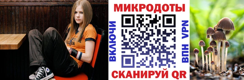 Галлюциногенные грибы Cubensis  Урус-Мартан 
